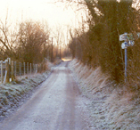 The lane